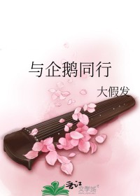 与企鹅同行